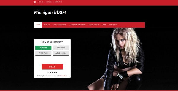 bdsm and fetish in michigan, usa